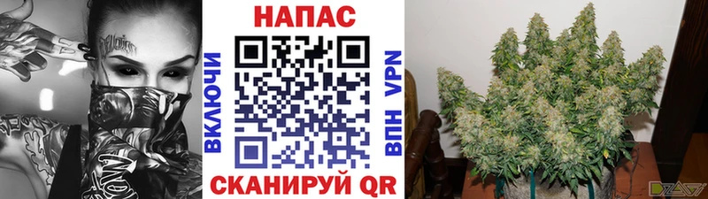 Наркота Кунгур OMG сайт  Амфетамин  Гашиш  МАРИХУАНА  Меф  A PVP 