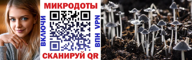 Галлюциногенные грибы Psilocybe omg зеркало Кунгур купить наркотики сайты